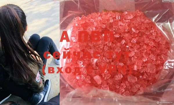 Альфа ПВП Алексин