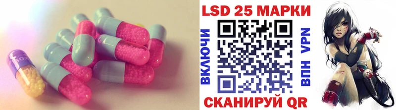 магазин продажи наркотиков  Новая Ладога  ЛСД экстази кислота 