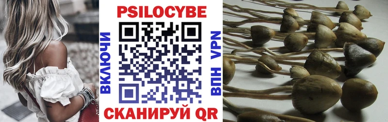 сколько стоит  Новая Ладога  маркетплейс наркотические препараты  Псилоцибиновые грибы Magic Shrooms 