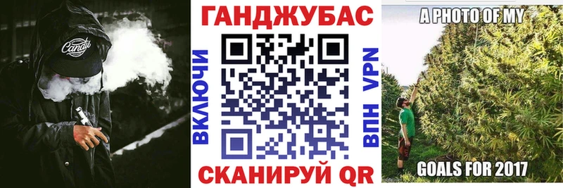 Бошки марихуана план  Новая Ладога 
